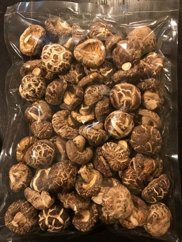 Funghi shiitake secchi - funghi,
