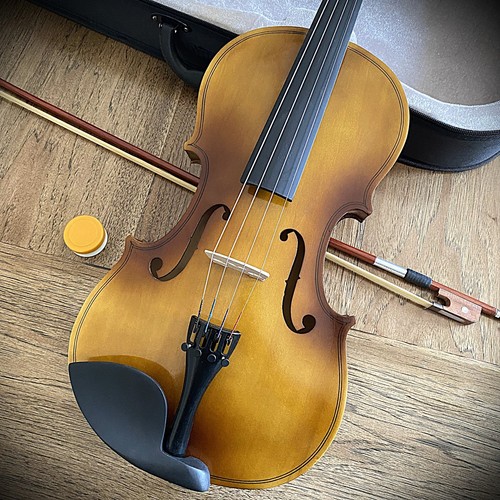 Splendida viola in legno - in,